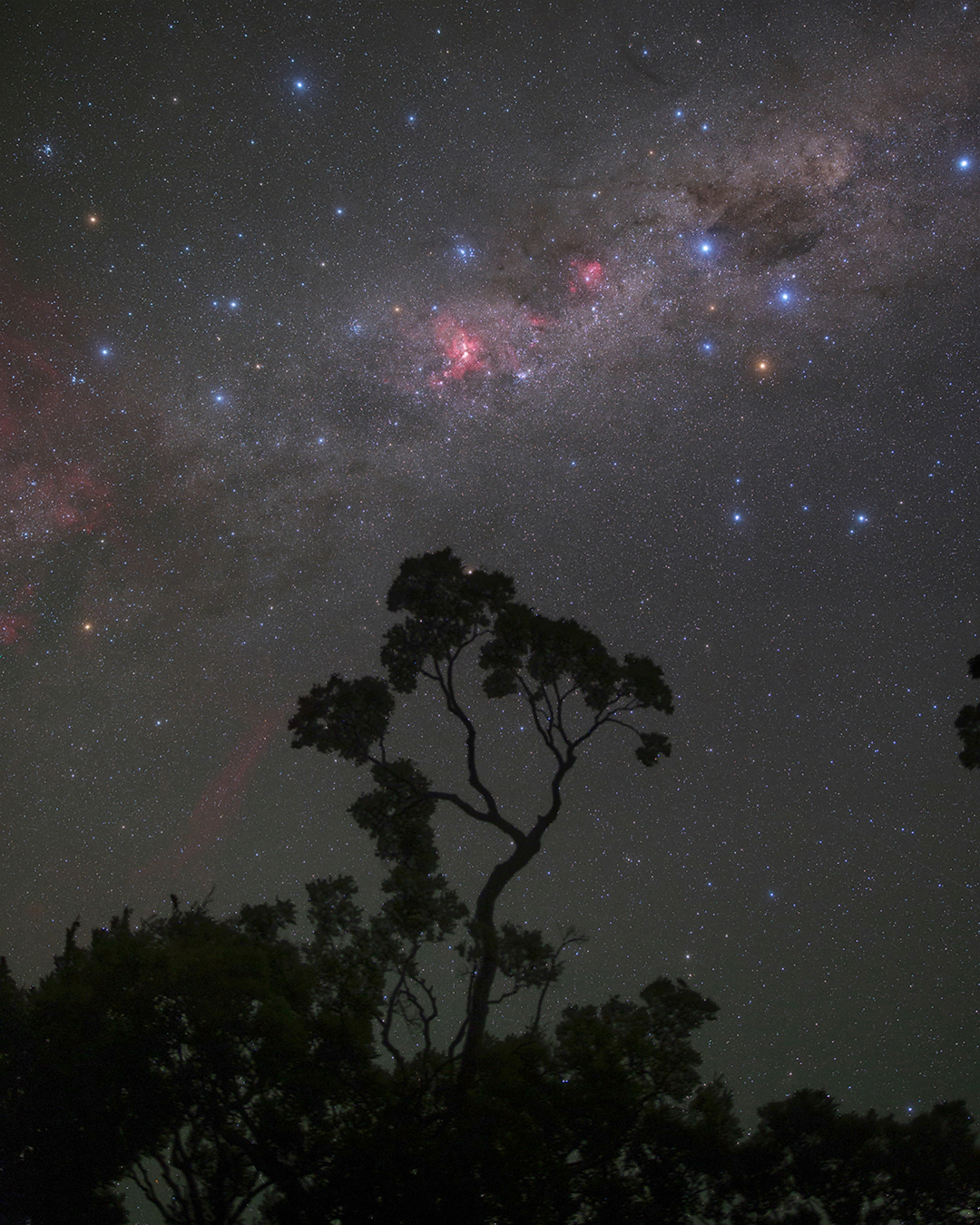 The Deep Southern Sky