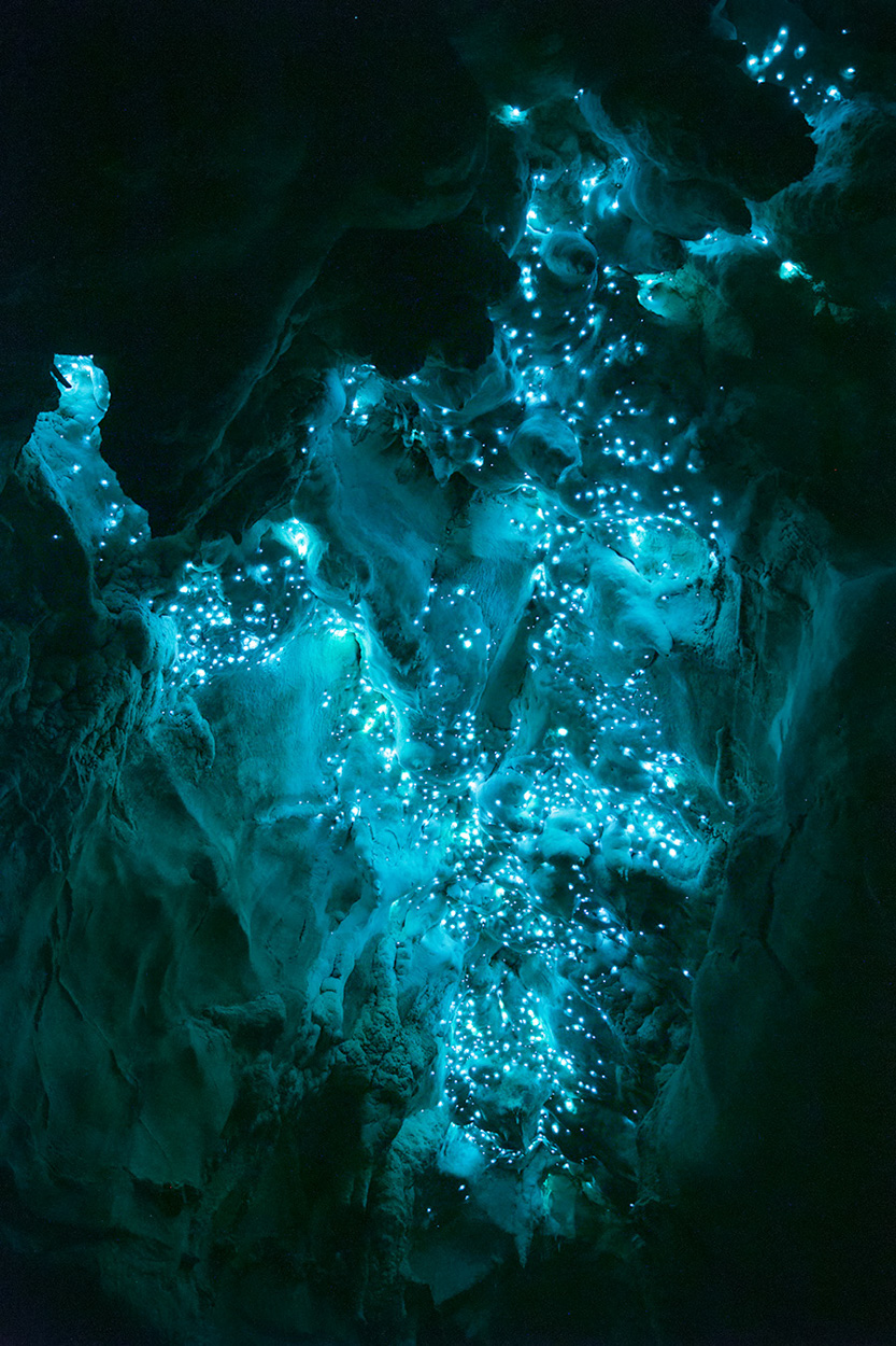 Glowworm cavern at cave entrance