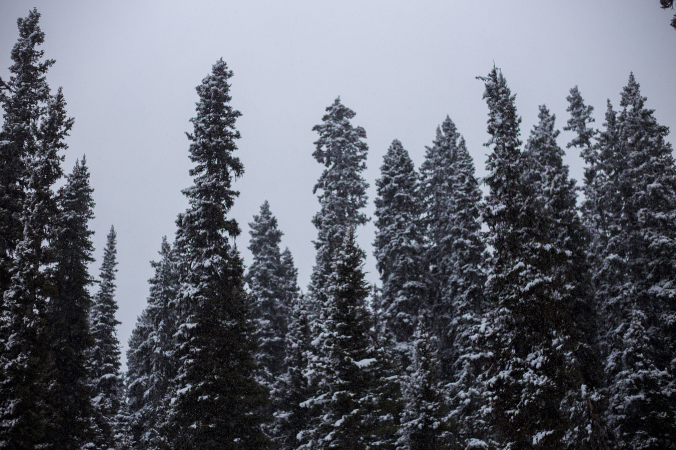 Lake Louise in snow