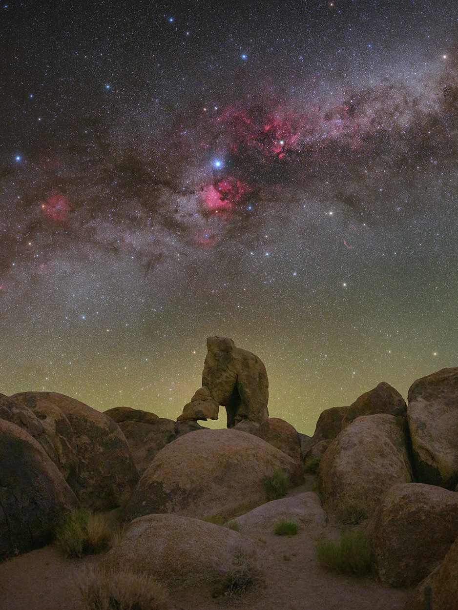 Boot Arch Cygnus Crop